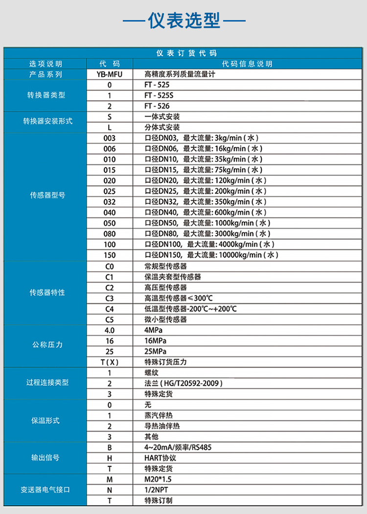 高溫質(zhì)量流量計(jì)選項(xiàng)表