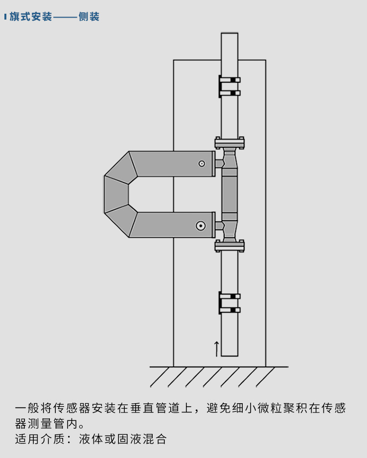 氣體質(zhì)量流量計(jì)垂直安裝示意圖